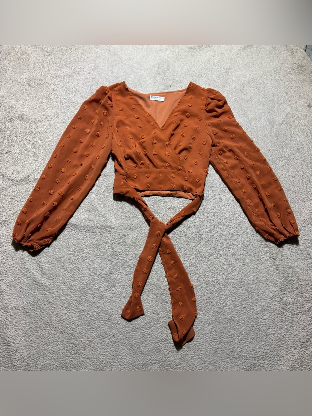 Paper Crane Top Womens Small Rust‎ Orange Faux Wrap Waist Tie Long Sleeve Crop